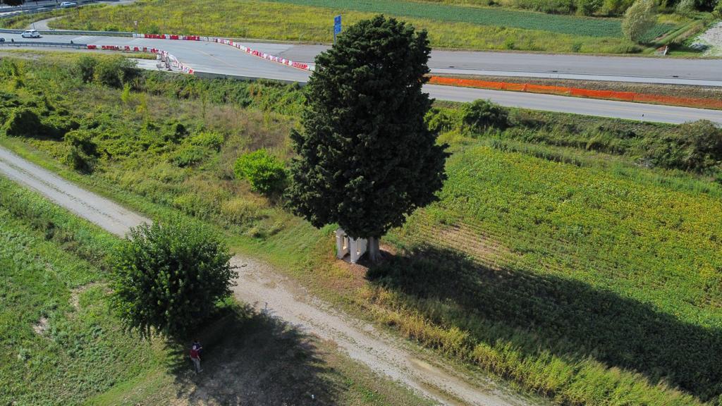 Salva l’ancona di Viscone, racconta un miracolo della Madonna della Neve